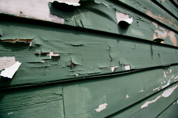 Best Hoarding Cleanup  in Suffield Depot, CT